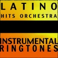 Te Pienso Sin Querer (In the Style of Franco De Vita & Gloria Trevi) - Latino Hits Orchestra
