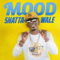 Mood - Shatta Wale