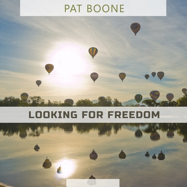 Looking For Freedom -  