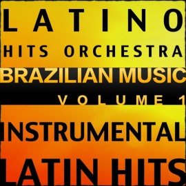 Brazil Hits, Vol. 1 (Instrumental Karaoke Tracks)