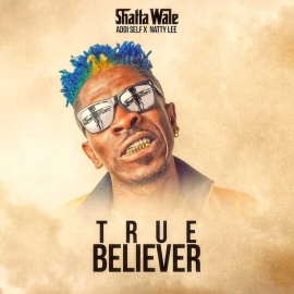 True Believer (feat. Addi Self, Natty Lee)
