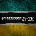 No Nigga - Prodigio